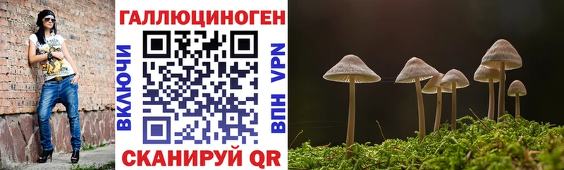 купить наркотик  Малоархангельск  Псилоцибиновые грибы Psilocybe 
